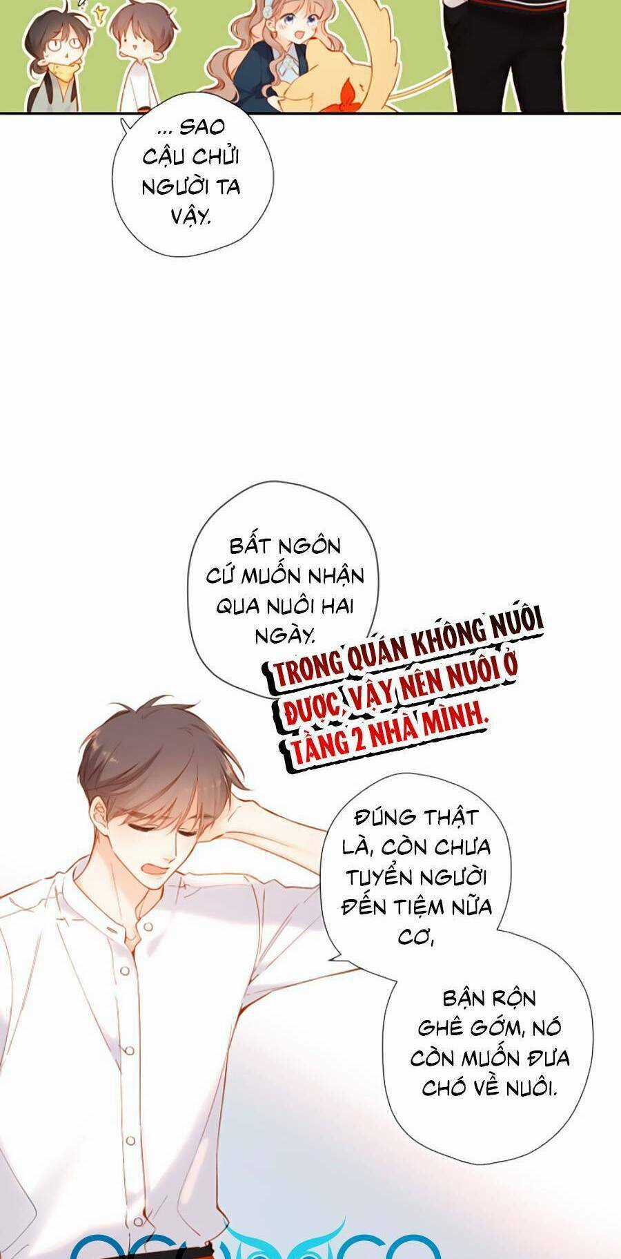 Lại Gặp Được Em Chapter 134 trang 10