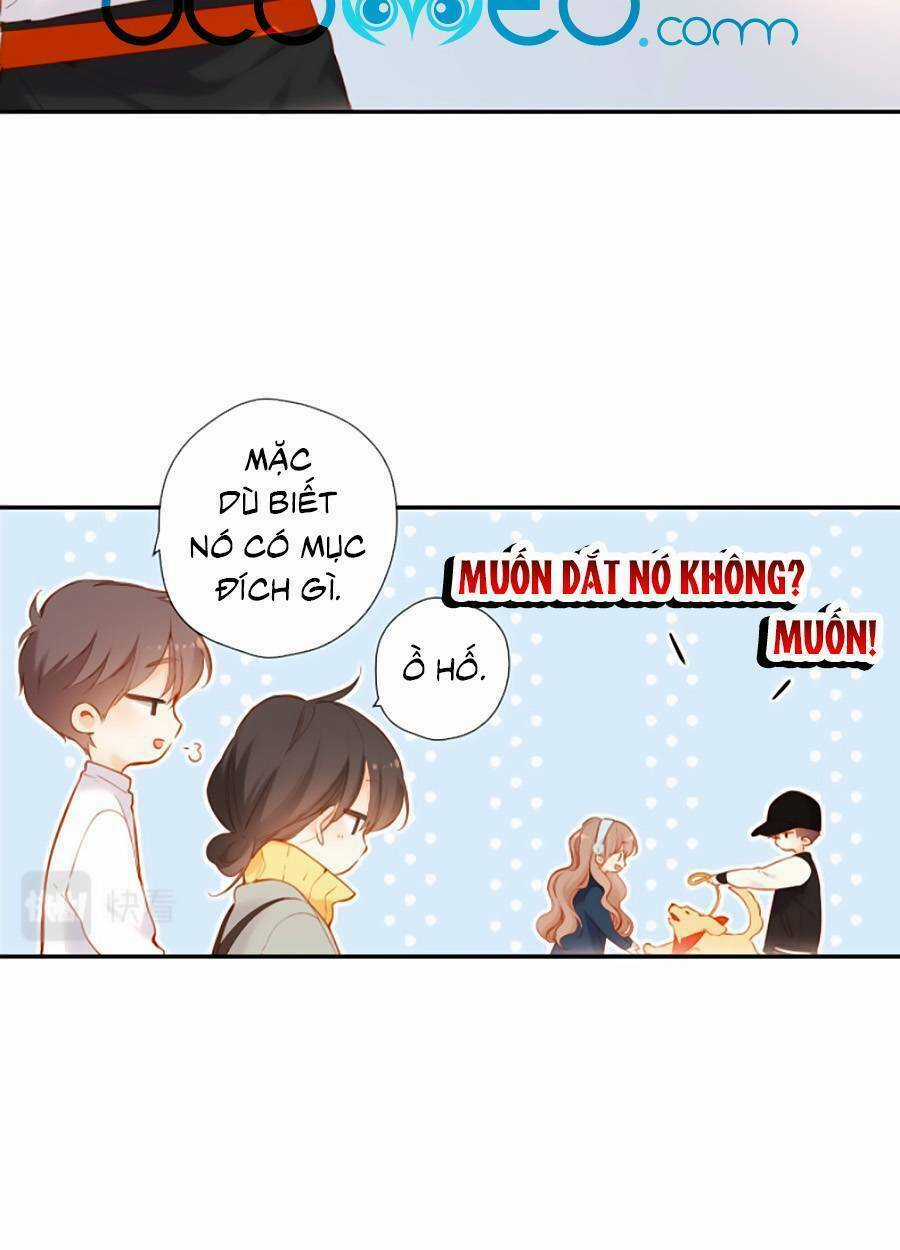 Lại Gặp Được Em Chapter 134 trang 11