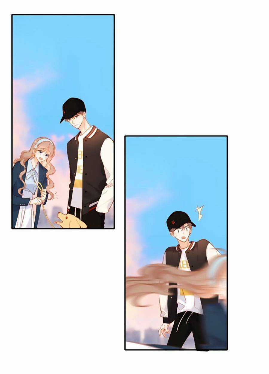 Lại Gặp Được Em Chapter 134 trang 12