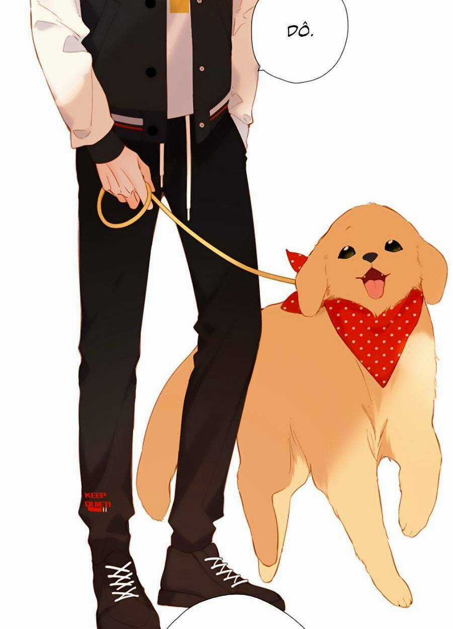 Lại Gặp Được Em Chapter 134 trang 5