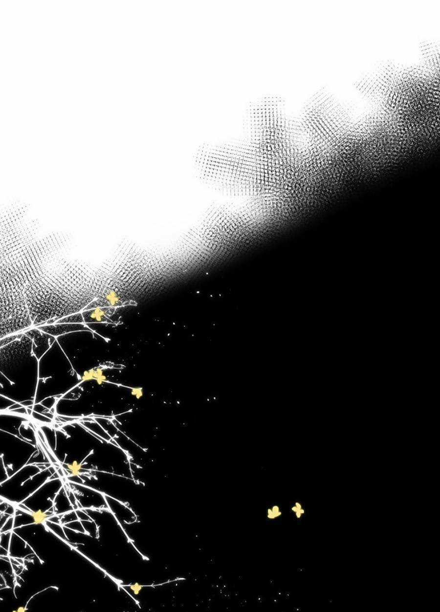 Lại Gặp Được Em Chapter 135 trang 2