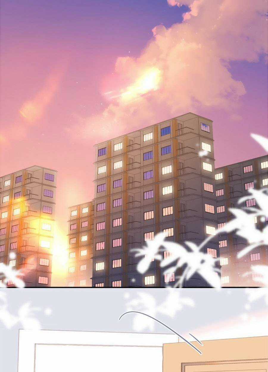 Lại Gặp Được Em Chapter 137 trang 14