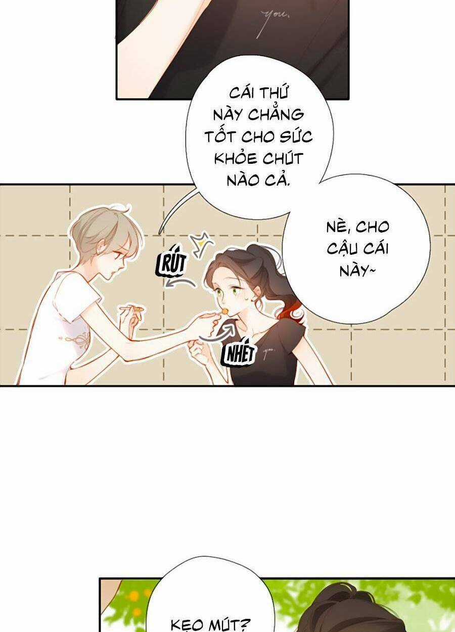 Lại Gặp Được Em Chapter 137 trang 3