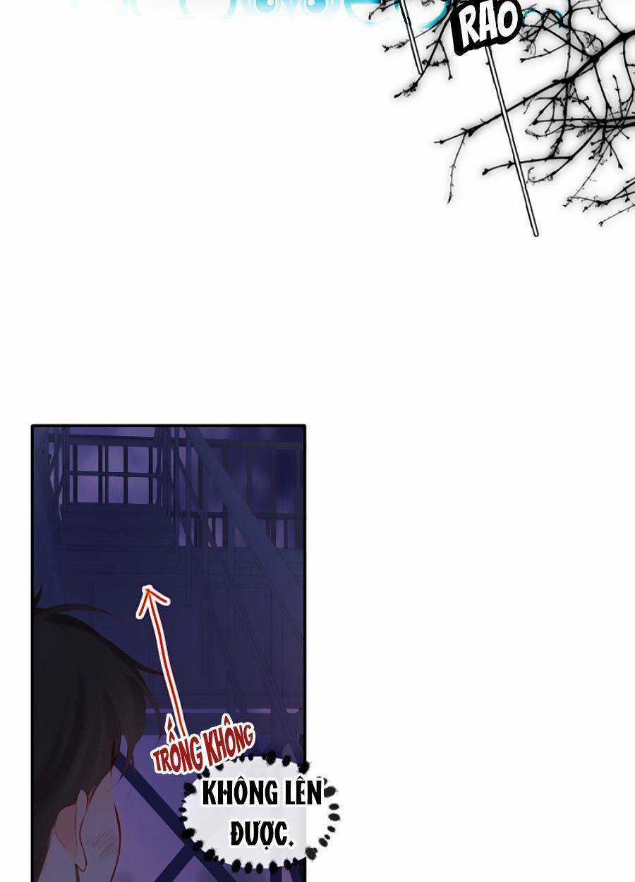 Lại Gặp Được Em Chapter 138 trang 5