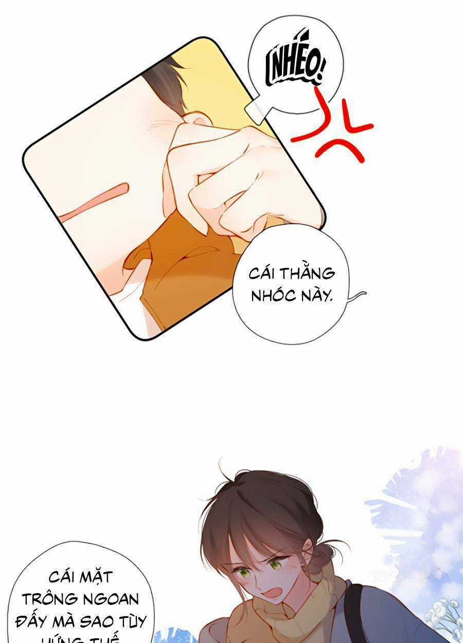 Lại Gặp Được Em Chapter 138 trang 8