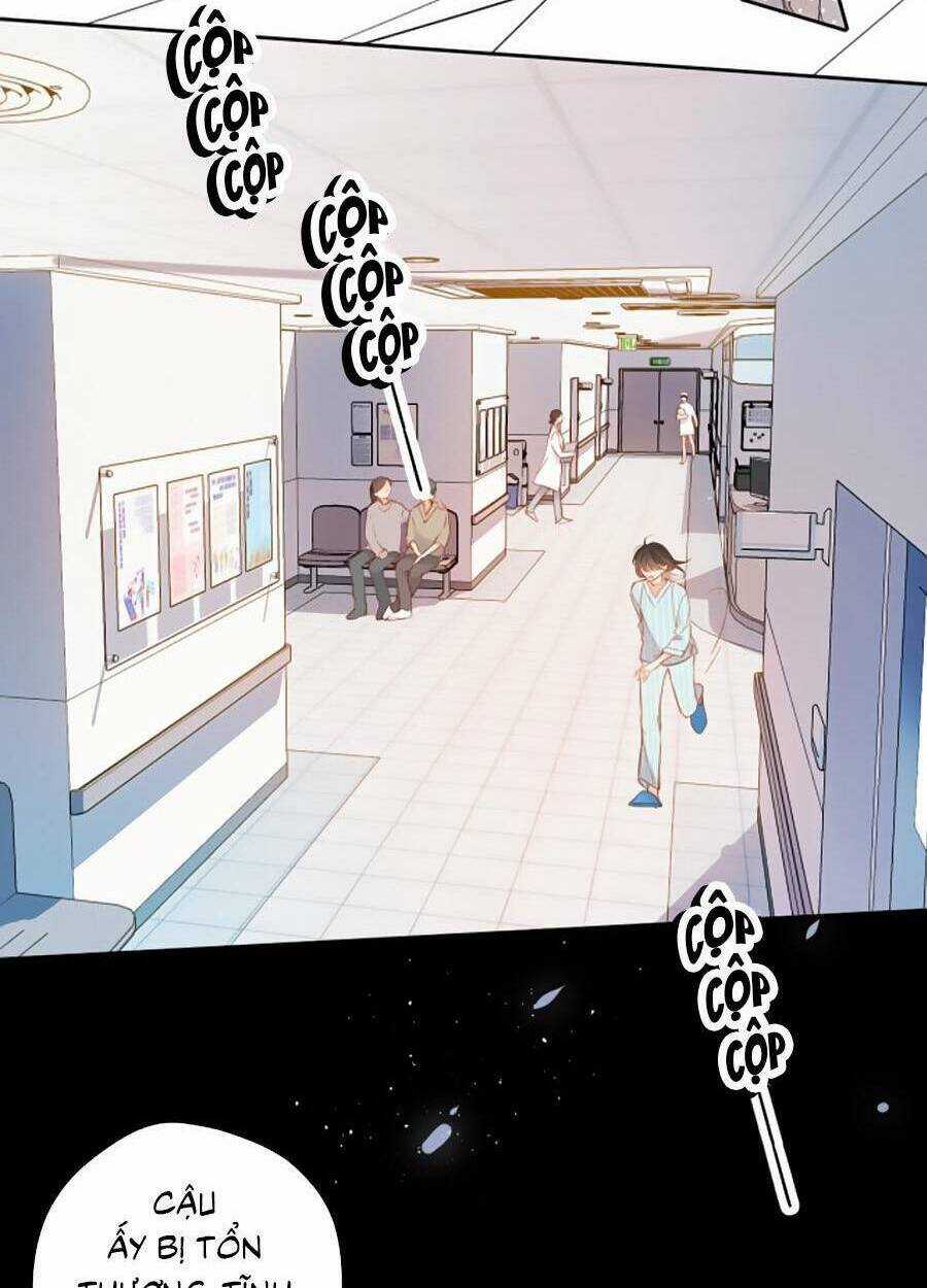 Lại Gặp Được Em Chapter 140 trang 13