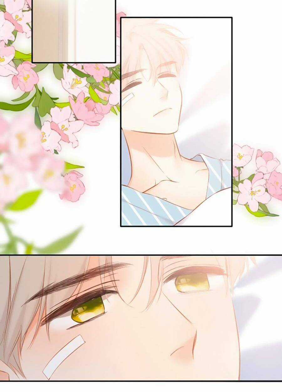 Lại Gặp Được Em Chapter 140 trang 47