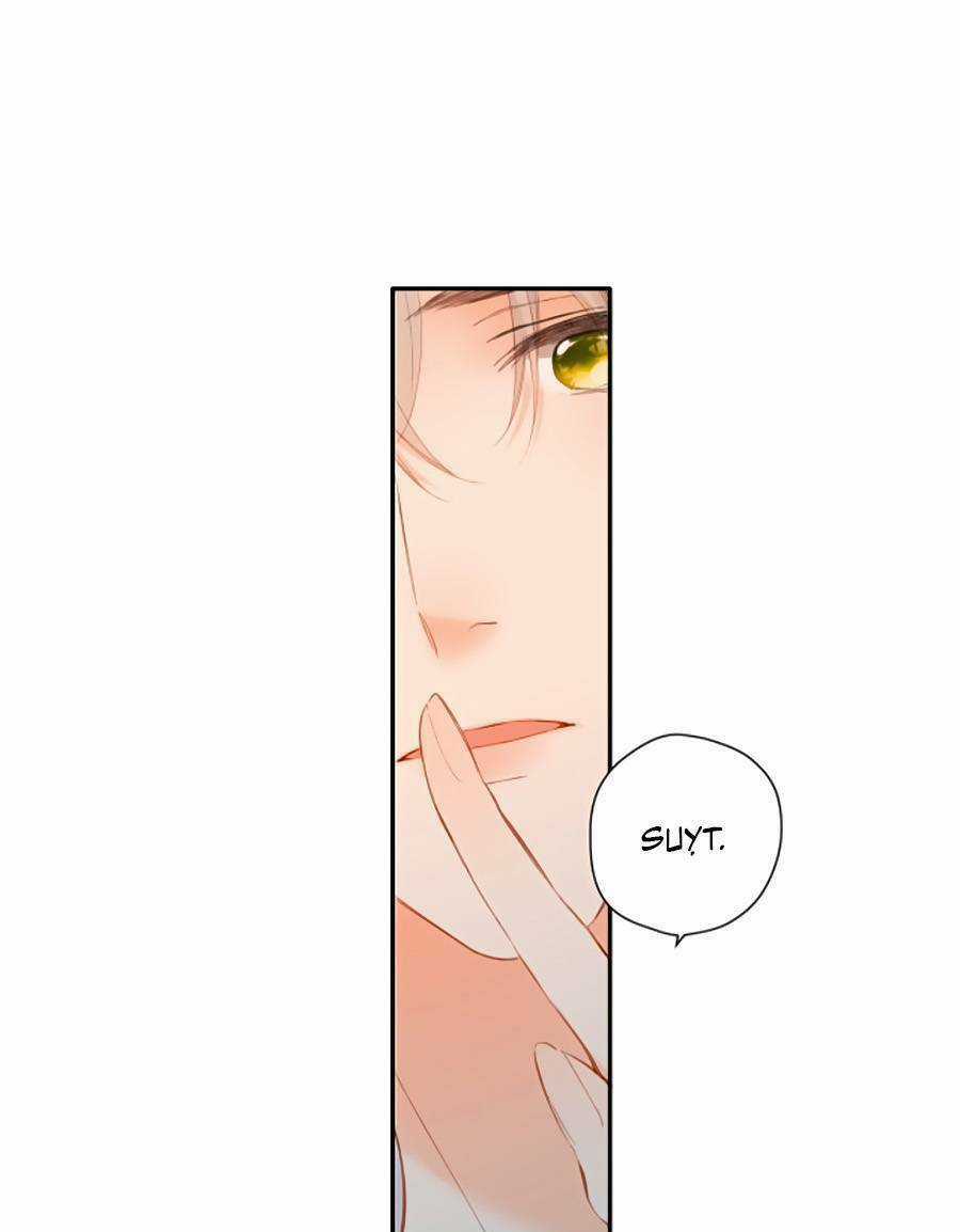 Lại Gặp Được Em Chapter 140 trang 64