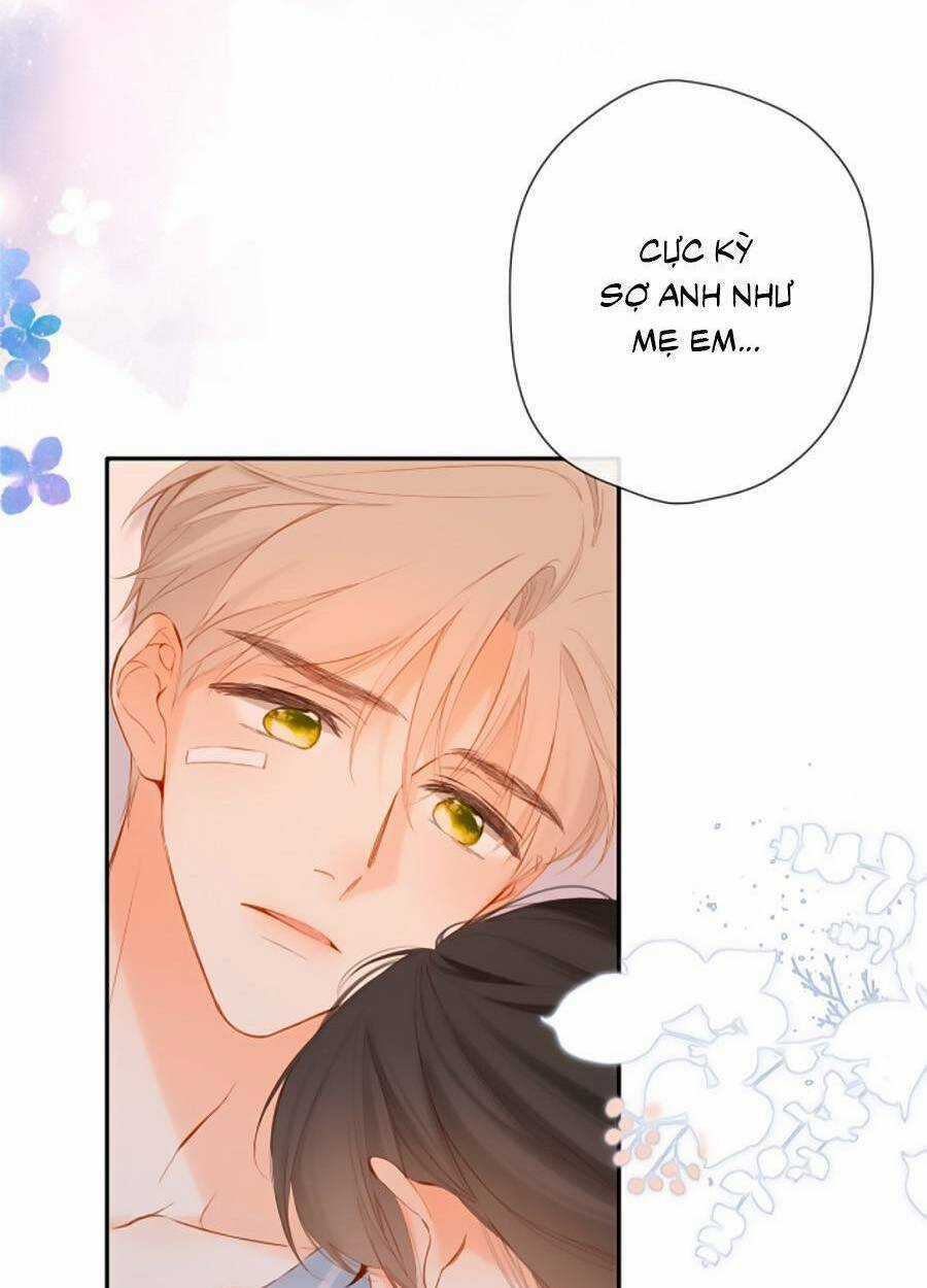 Lại Gặp Được Em Chapter 141 trang 11