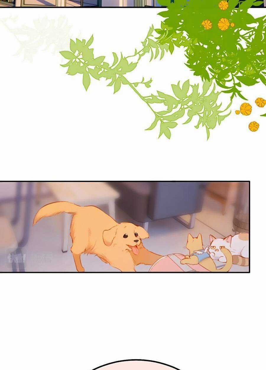 Lại Gặp Được Em Chapter 141 trang 18