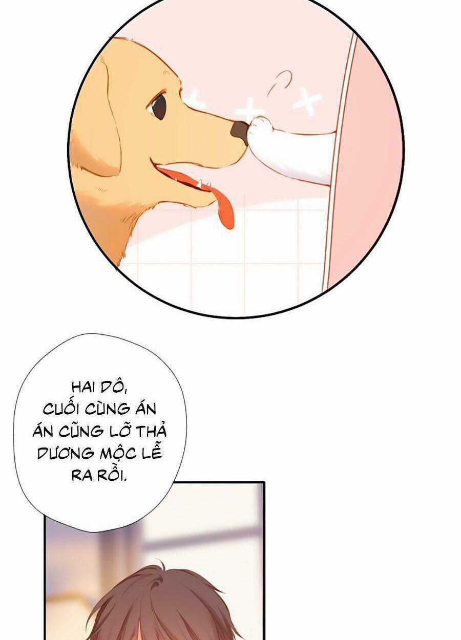 Lại Gặp Được Em Chapter 141 trang 19