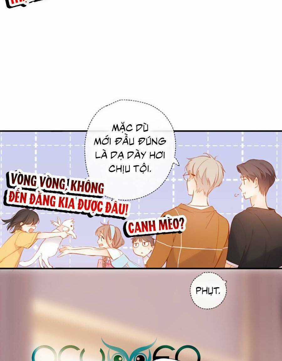 Lại Gặp Được Em Chapter 141 trang 25