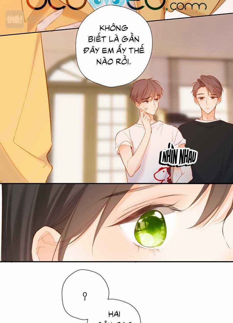 Lại Gặp Được Em Chapter 141 trang 37