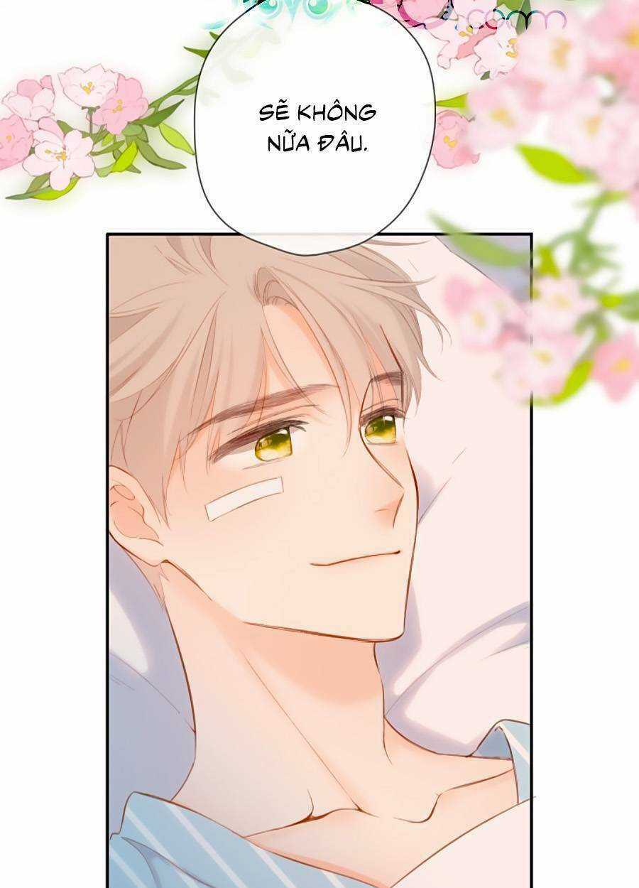 Lại Gặp Được Em Chapter 141 trang 4