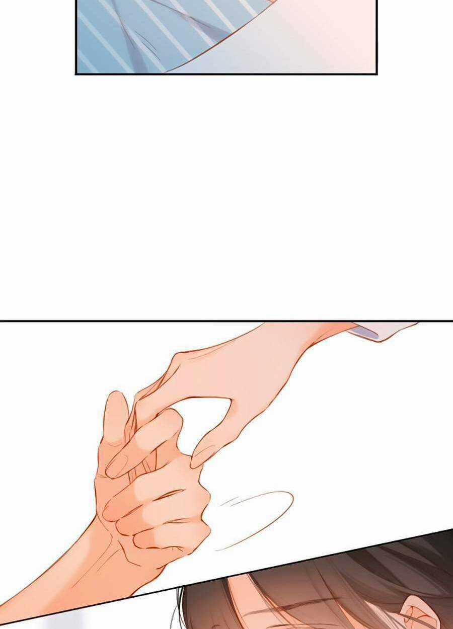 Lại Gặp Được Em Chapter 141 trang 5