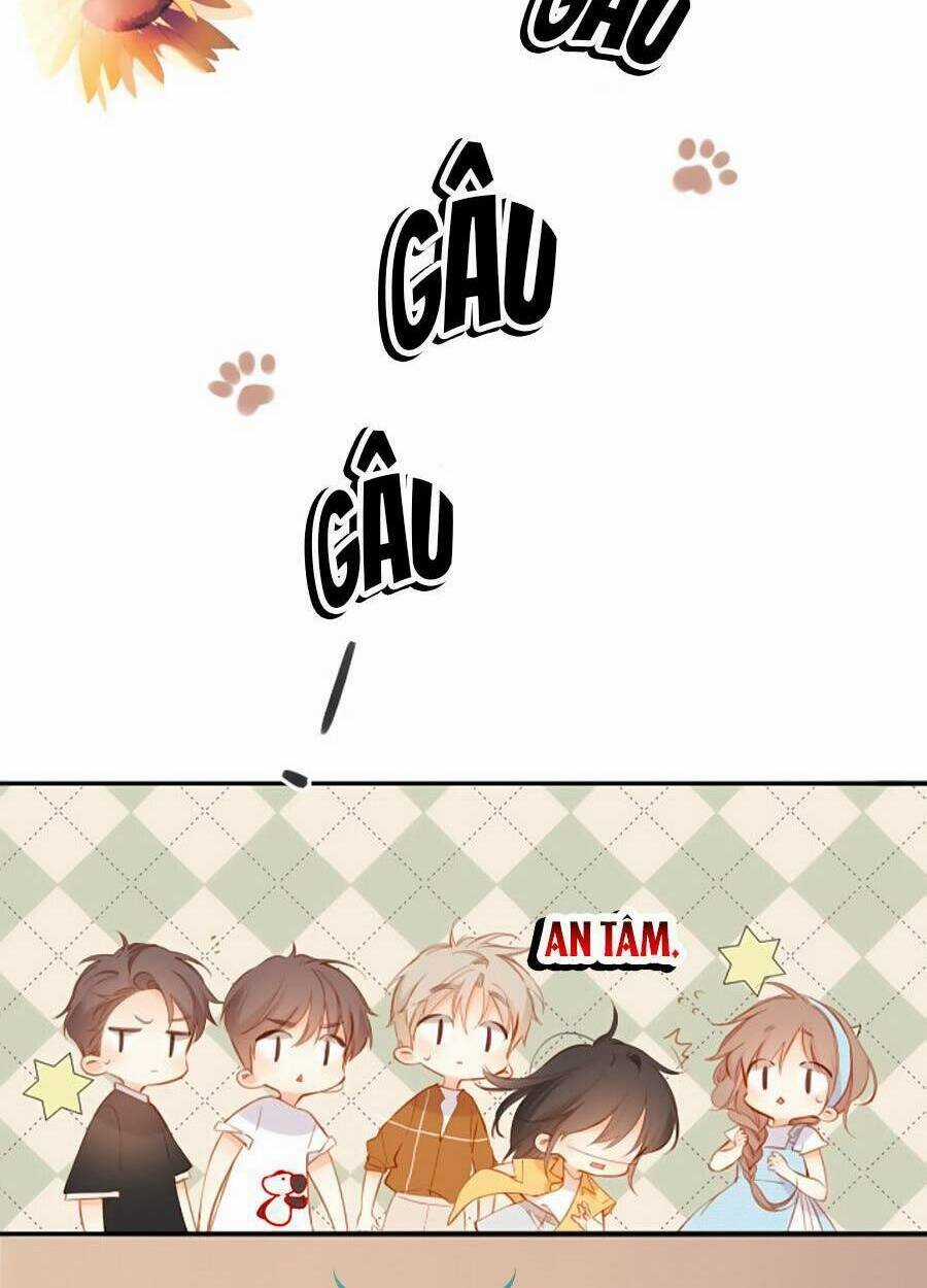 Lại Gặp Được Em Chapter 141 trang 51