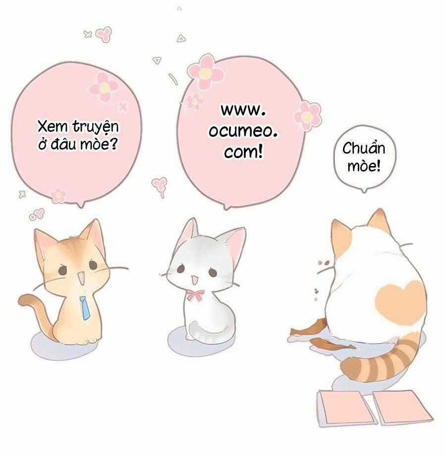 Lại Gặp Được Em Chapter 141 trang 55