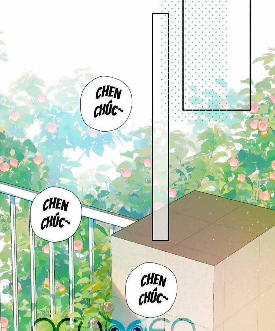 Lại Gặp Được Em Chapter 142 trang 13