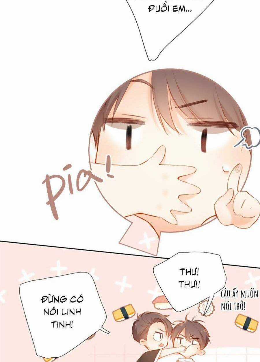 Lại Gặp Được Em Chapter 142 trang 4