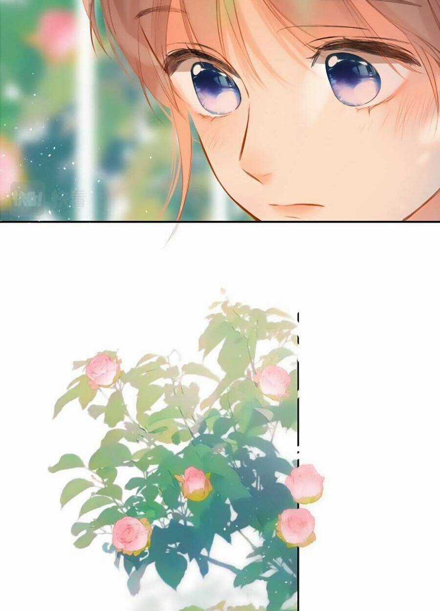 Lại Gặp Được Em Chapter 142 trang 41