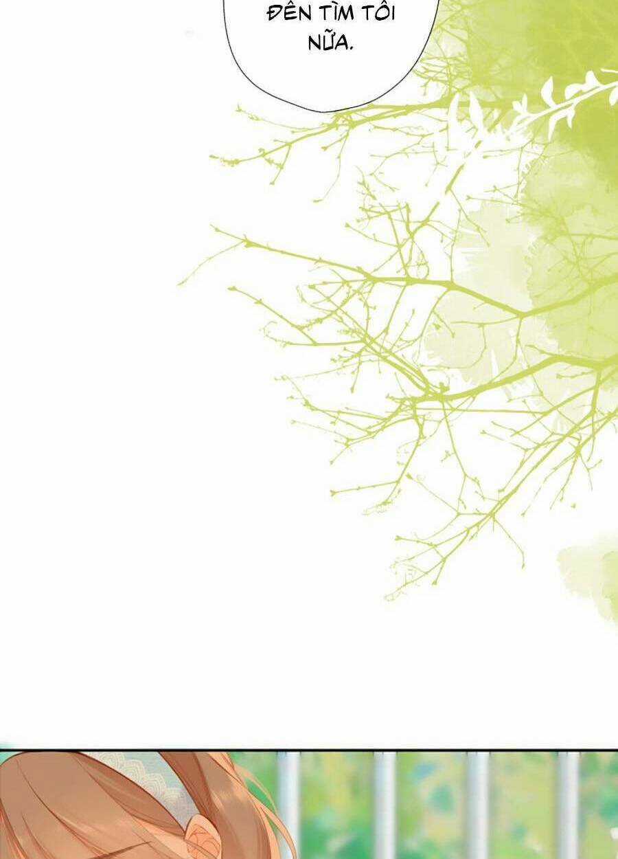 Lại Gặp Được Em Chapter 142 trang 46