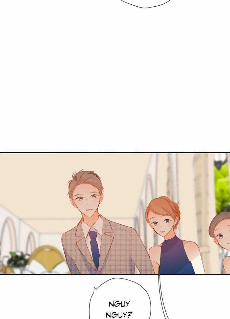 Lại Gặp Được Em Chapter 145 trang 11