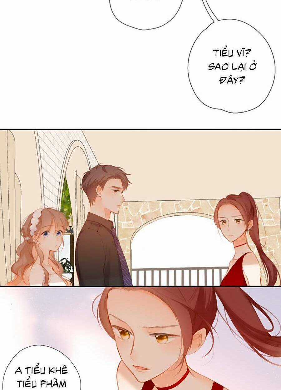 Lại Gặp Được Em Chapter 145 trang 12