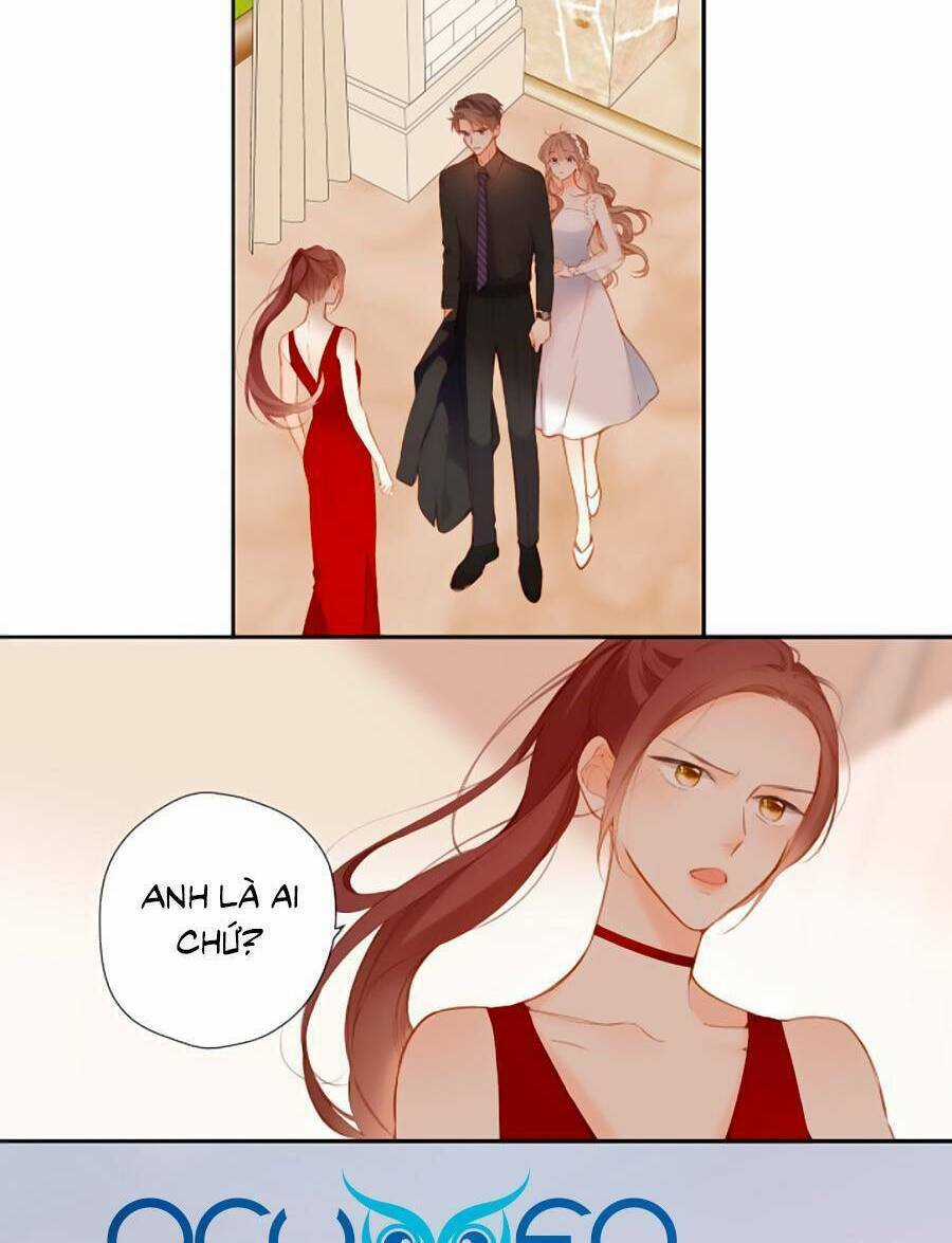 Lại Gặp Được Em Chapter 145 trang 3