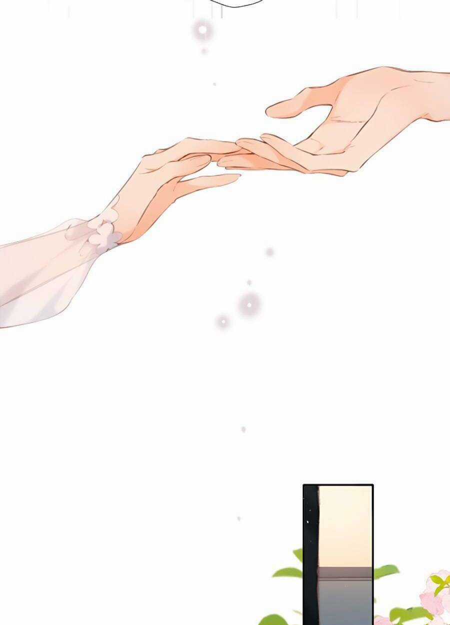 Lại Gặp Được Em Chapter 146 trang 40