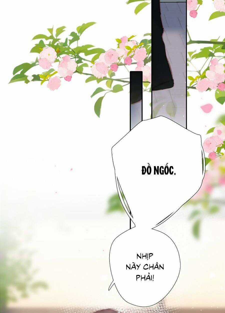 Lại Gặp Được Em Chapter 146 trang 41