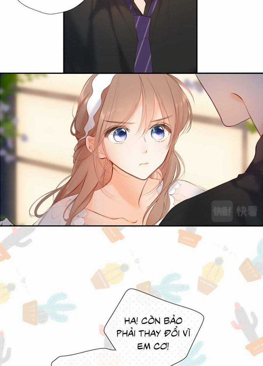 Lại Gặp Được Em Chapter 146 trang 46