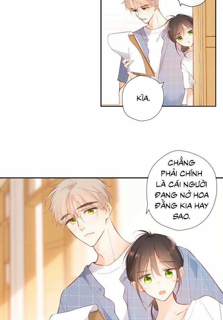 Lại Gặp Được Em Chapter 147 trang 13