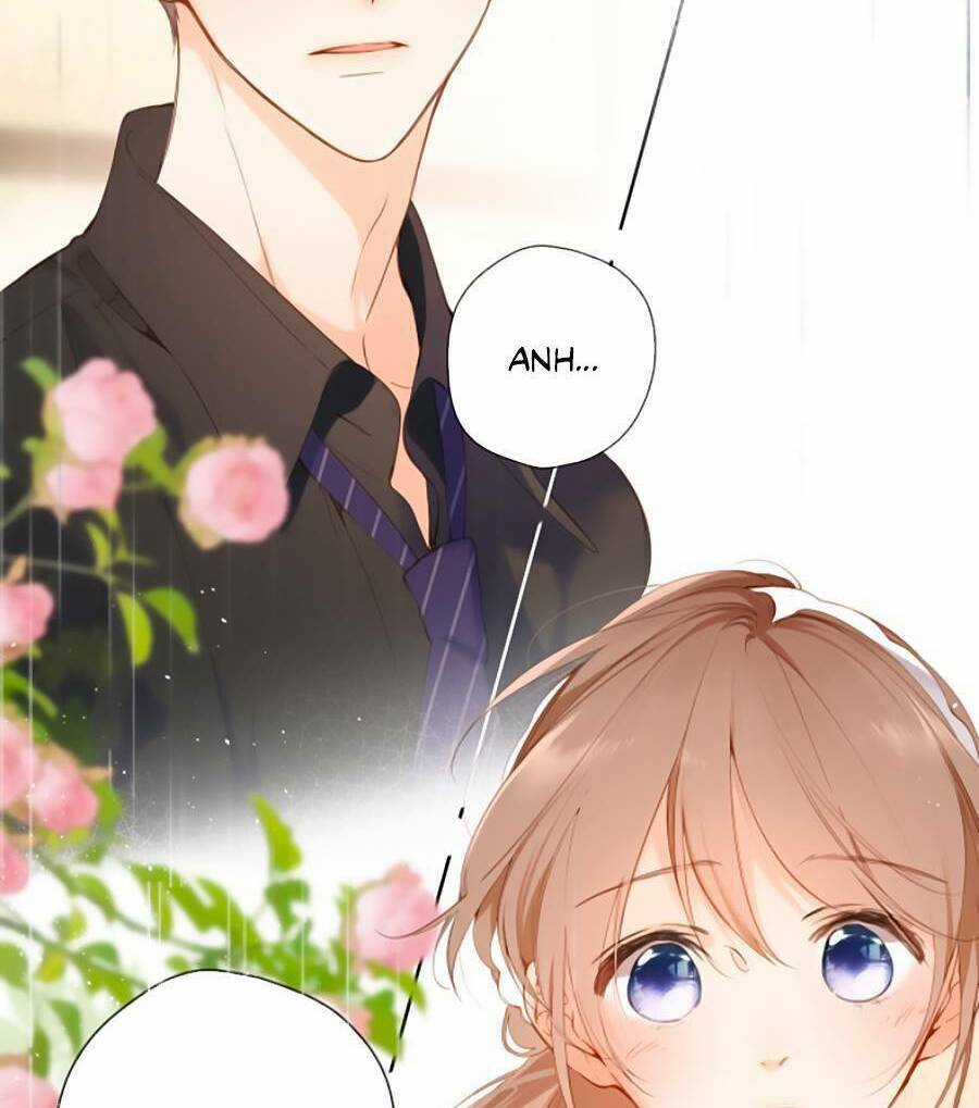 Lại Gặp Được Em Chapter 148.5 trang 12