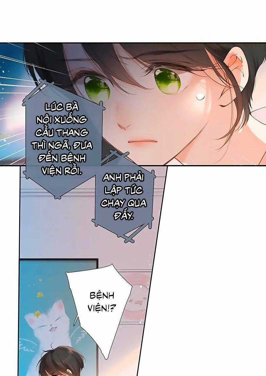 Lại Gặp Được Em Chapter 148.6 trang 11