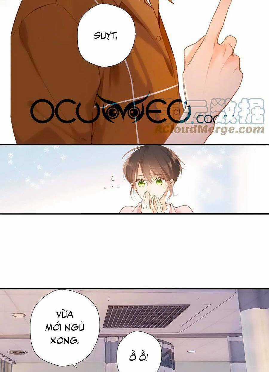 Lại Gặp Được Em Chapter 148.6 trang 17