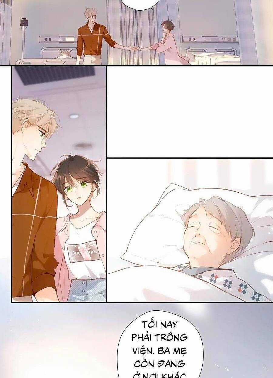 Lại Gặp Được Em Chapter 148.6 trang 18