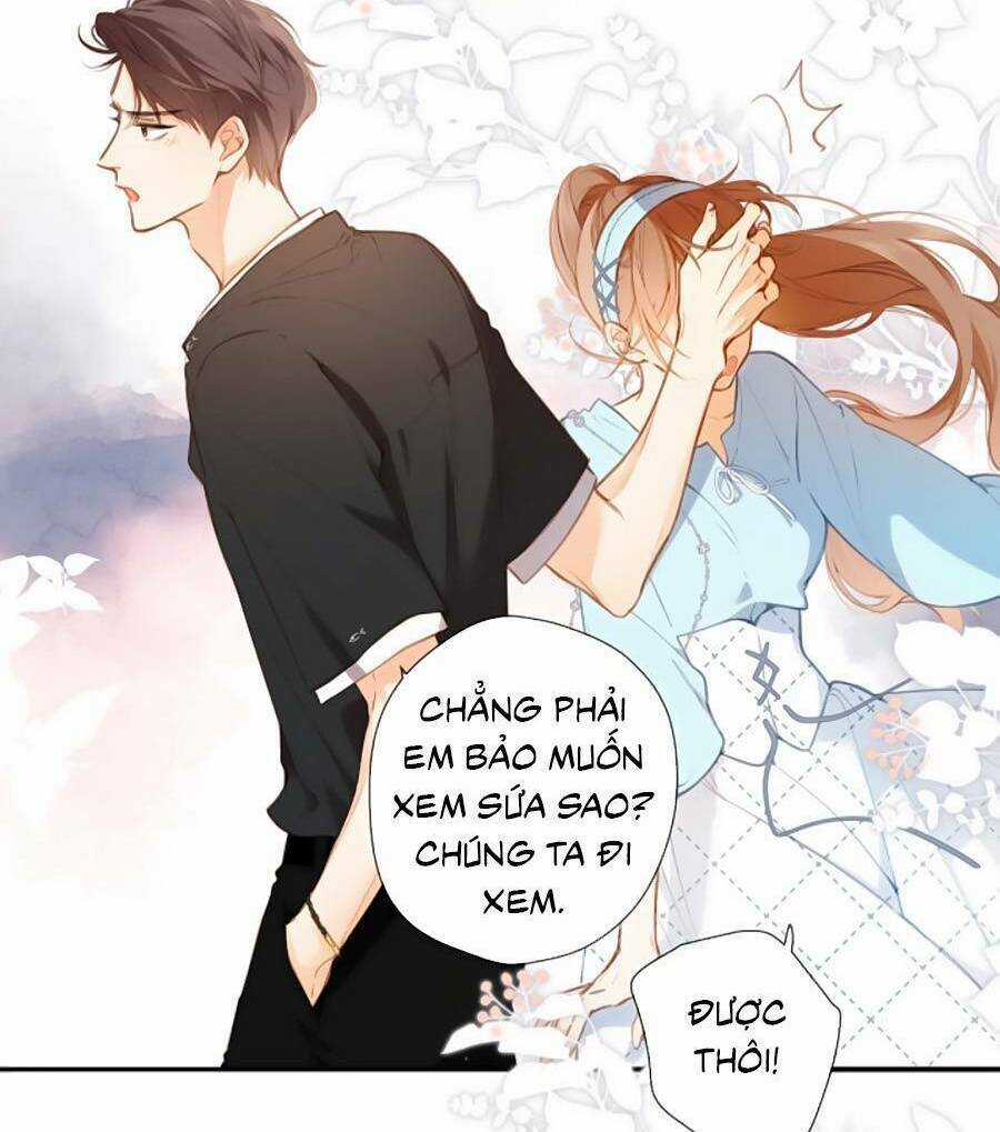 Lại Gặp Được Em Chapter 148.8 trang 21