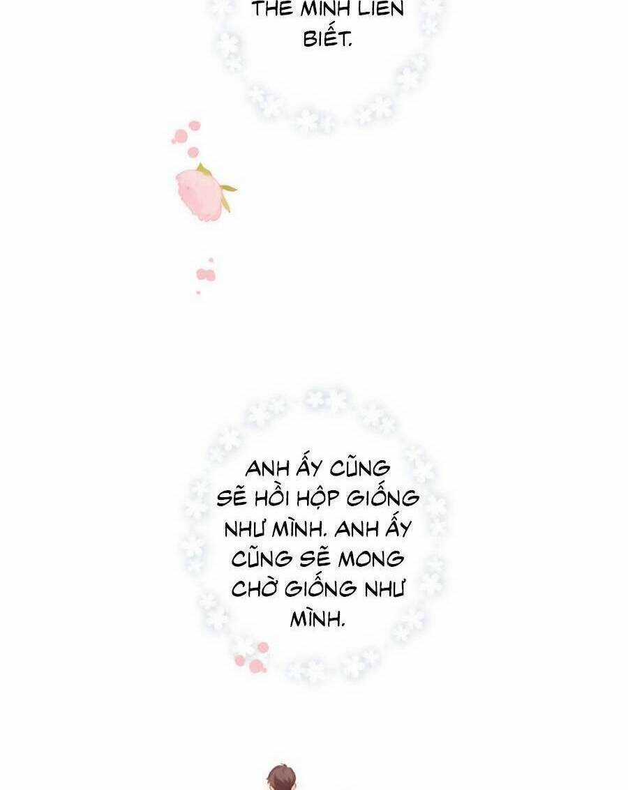 Lại Gặp Được Em Chapter 148.8 trang 31