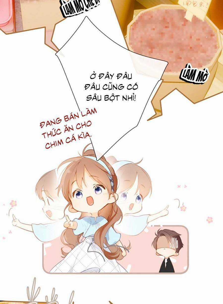 Lại Gặp Được Em Chapter 148.8 trang 4