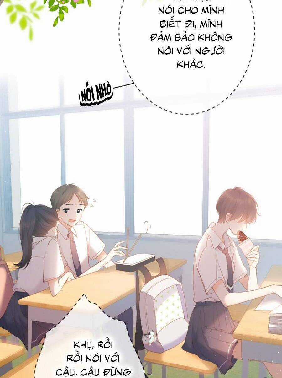 Lại Gặp Được Em Chapter 148 trang 4