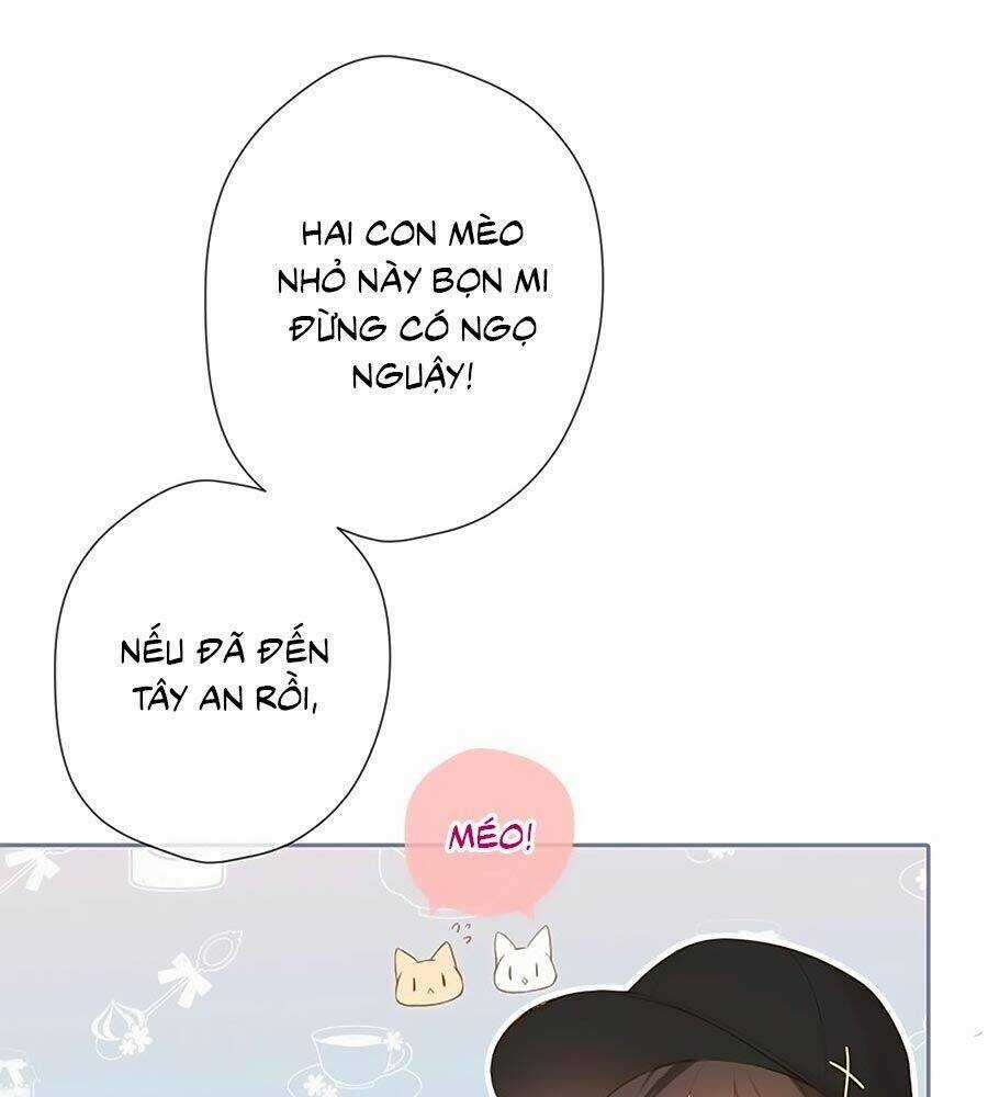 Lại Gặp Được Em Chapter 54.5 trang 0