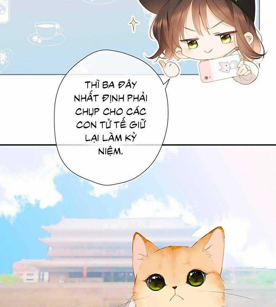Lại Gặp Được Em Chapter 54.5 trang 1