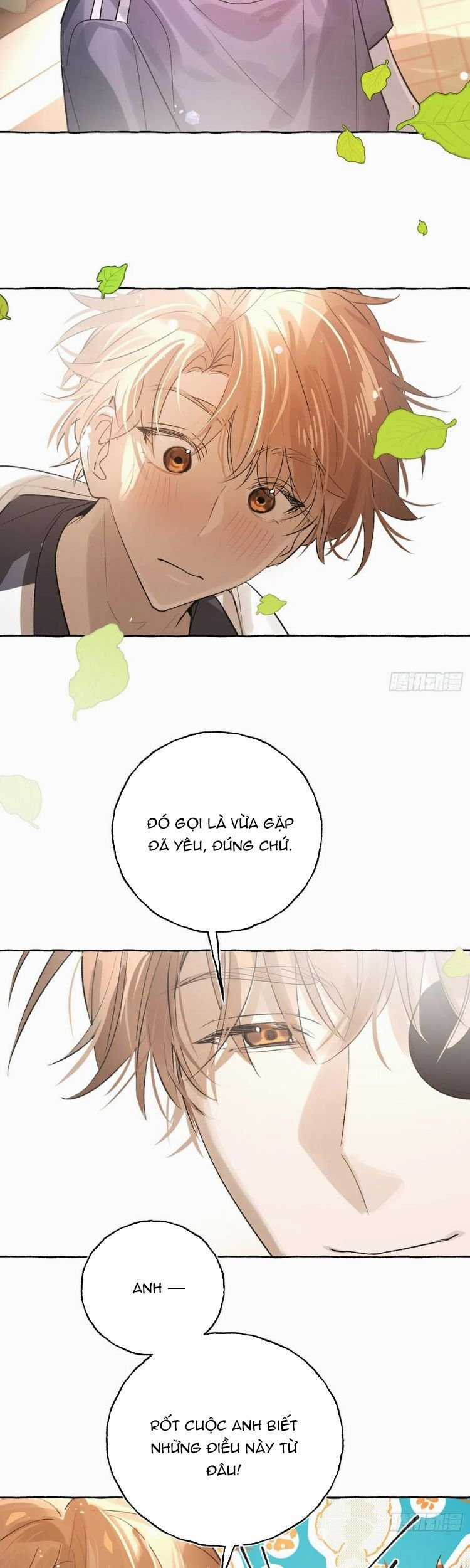 Lãm Nguyệt Triều Minh Chapter 40 trang 17