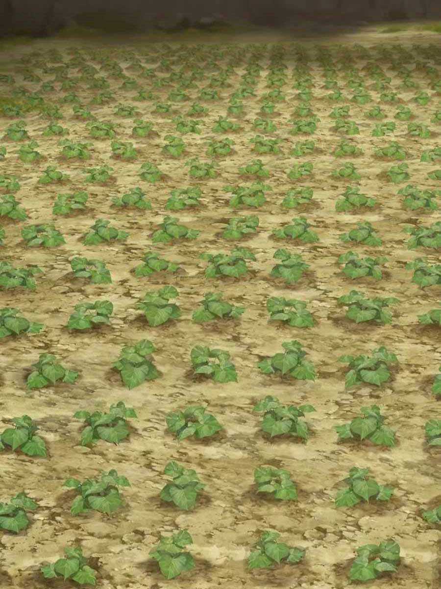 Làm Nông Dân Trong Tòa Tháp Thử Thách Chương 20 trang 126