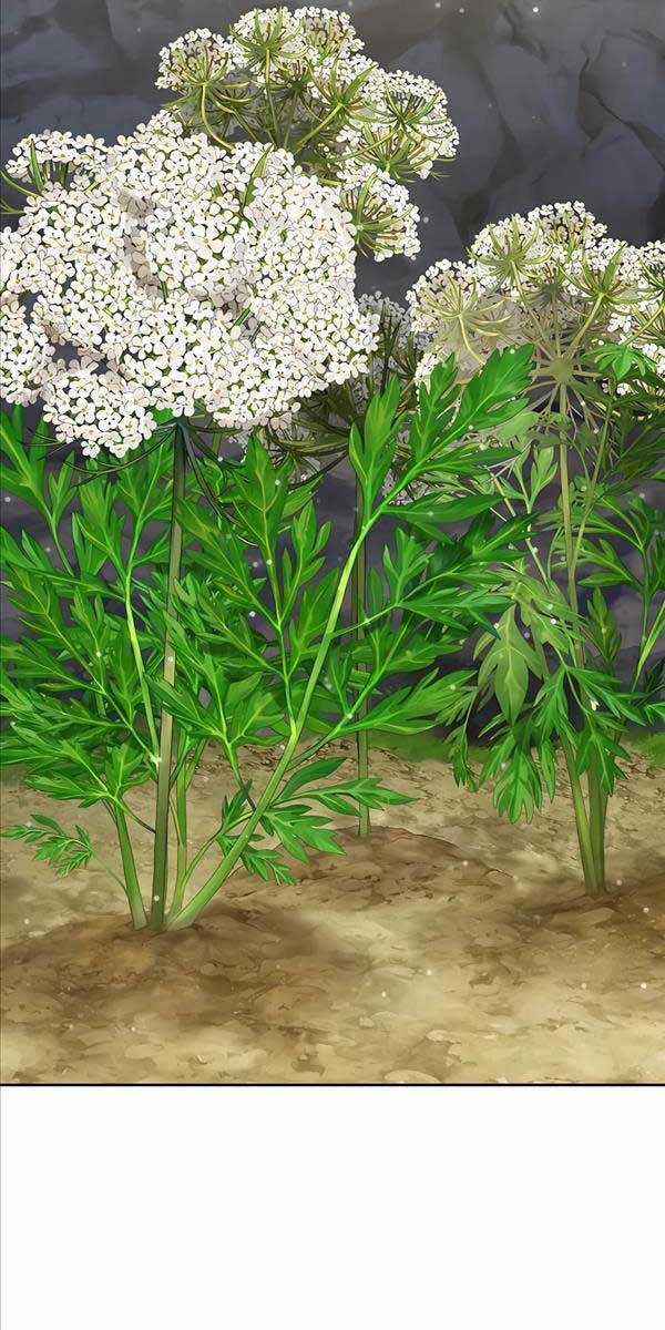 Làm Nông Dân Trong Tòa Tháp Thử Thách Chương 22 trang 7