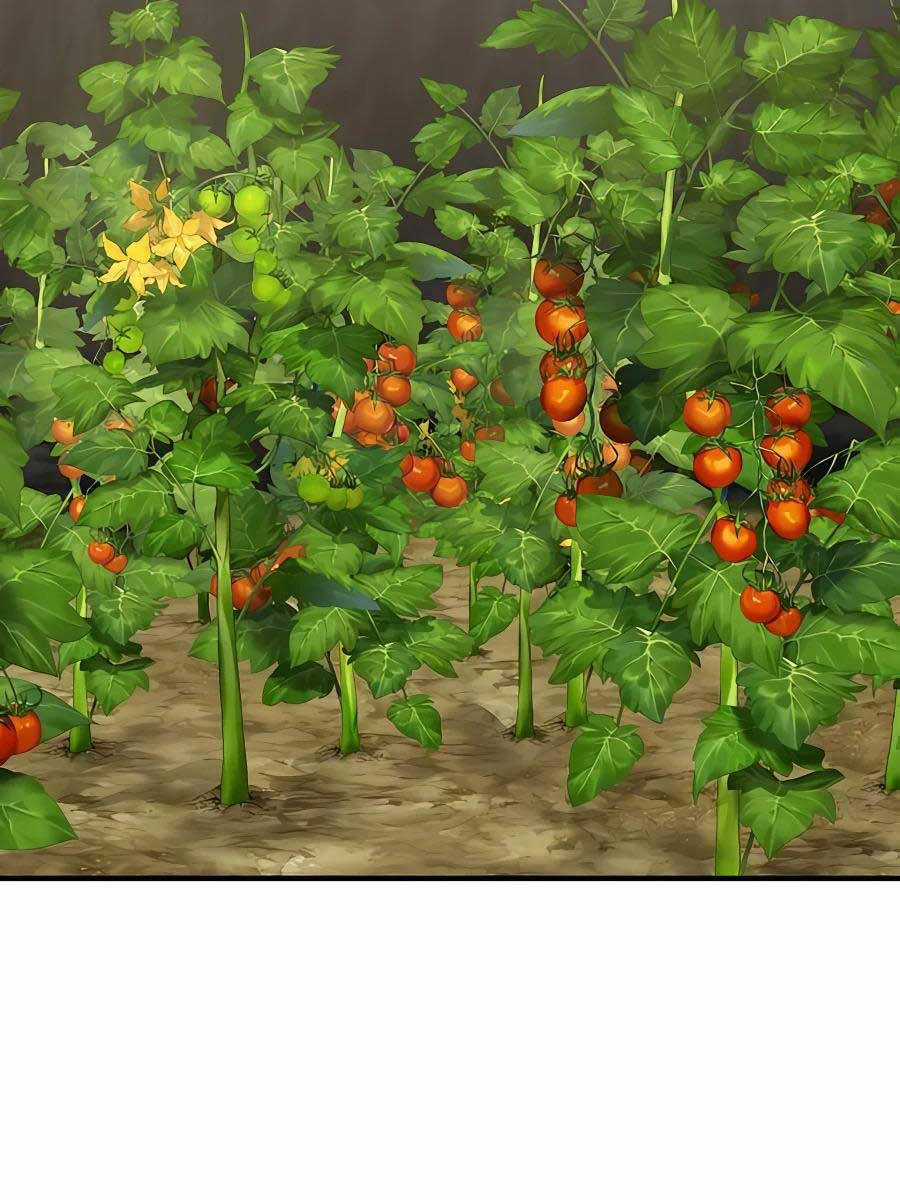 Làm Nông Dân Trong Tòa Tháp Thử Thách Chương 24 trang 168