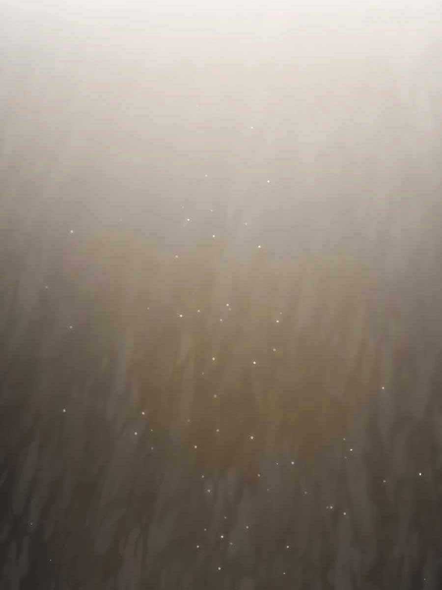 Làm Nông Dân Trong Tòa Tháp Thử Thách Chương 27 trang 56