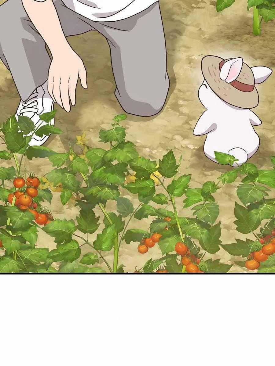 Làm Nông Dân Trong Tòa Tháp Thử Thách Chương 30 trang 184