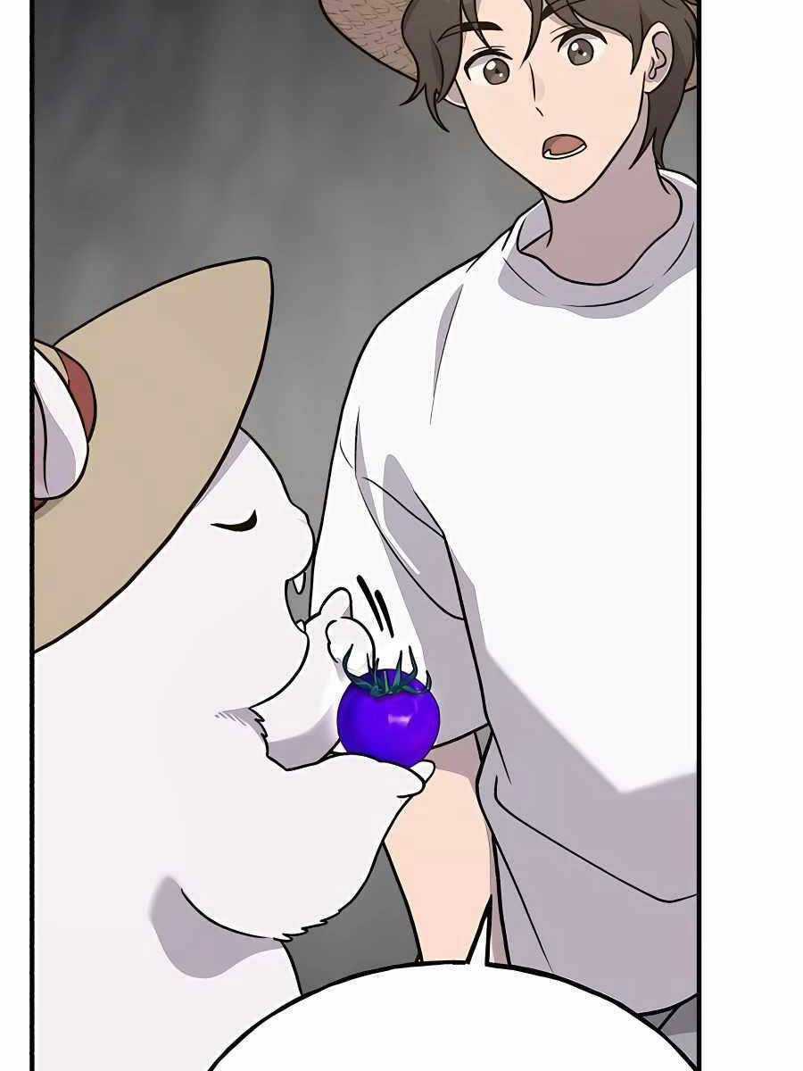 Làm Nông Dân Trong Tòa Tháp Thử Thách Chương 32 trang 21