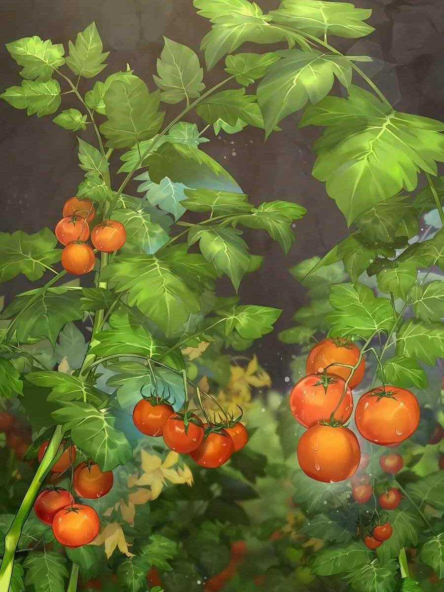 Làm Nông Dân Trong Tòa Tháp Thử Thách Chương 52 trang 10